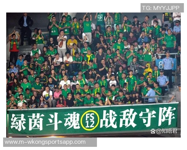 沈阳市足球赛激情四溢球迷齐聚共庆足球盛宴展现城市活力与团结精神